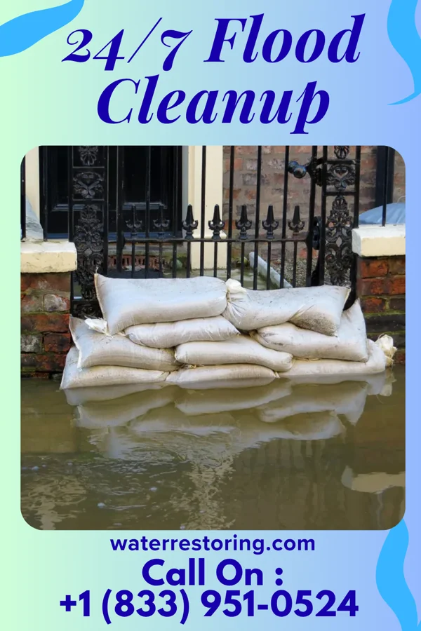 24/7 Flood Cleanup in Lemannville, LA