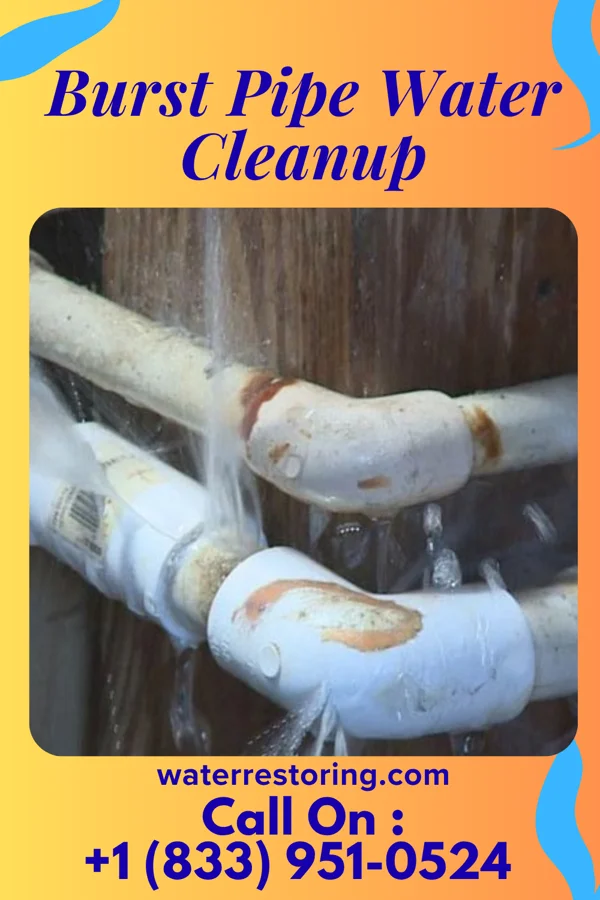Burst Pipe Water Cleanup in Lemannville, LA