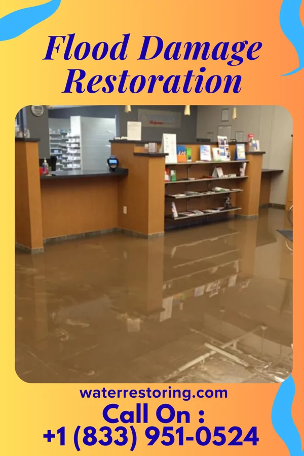 Flood Damage Restoration in Lemannville, LA