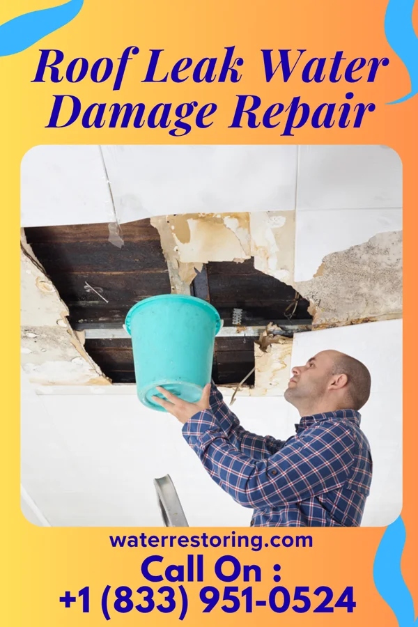 Roof Leak Water Damage Repair in Lemannville, LA
