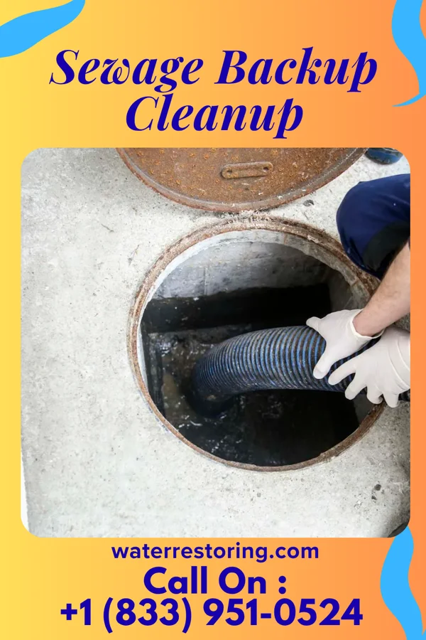 Sewage Backup Cleanup in Lemannville, LA