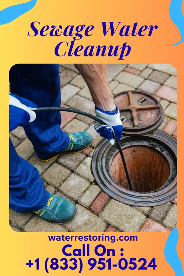 Sewage Water Cleanup in Lemannville, LA