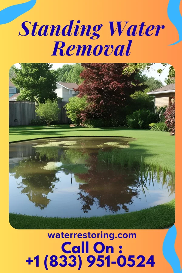 Standing Water Removal in Lemannville, LA